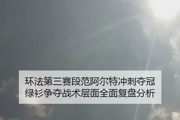 huan-fa-di-san-sai-duan-fan-a-er-te-chong-ci-duo-guan-lv-shan-zheng-duo-zhan-shu-ceng-mian-quan-mian-fu-pan-fen-xi-2-695.jpg